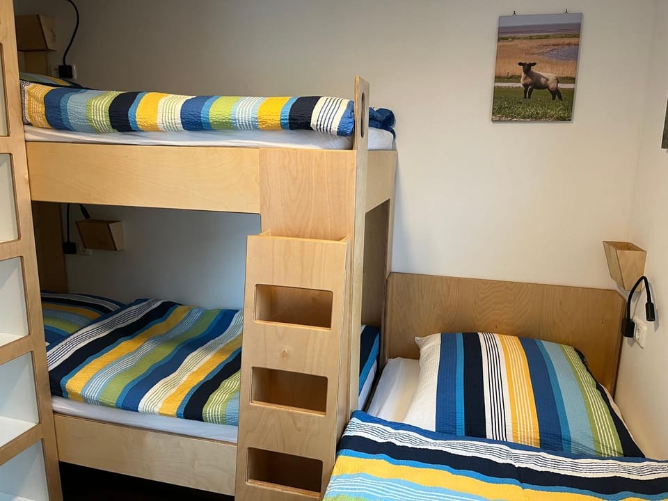 Photo of the whole room, Bedroom, bunk bed