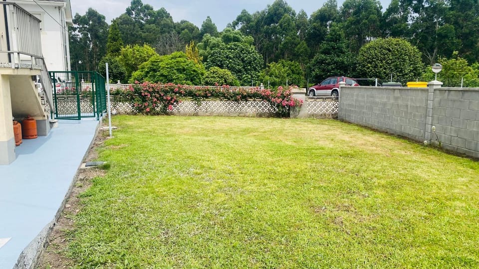 Garden, Garden, Garden view