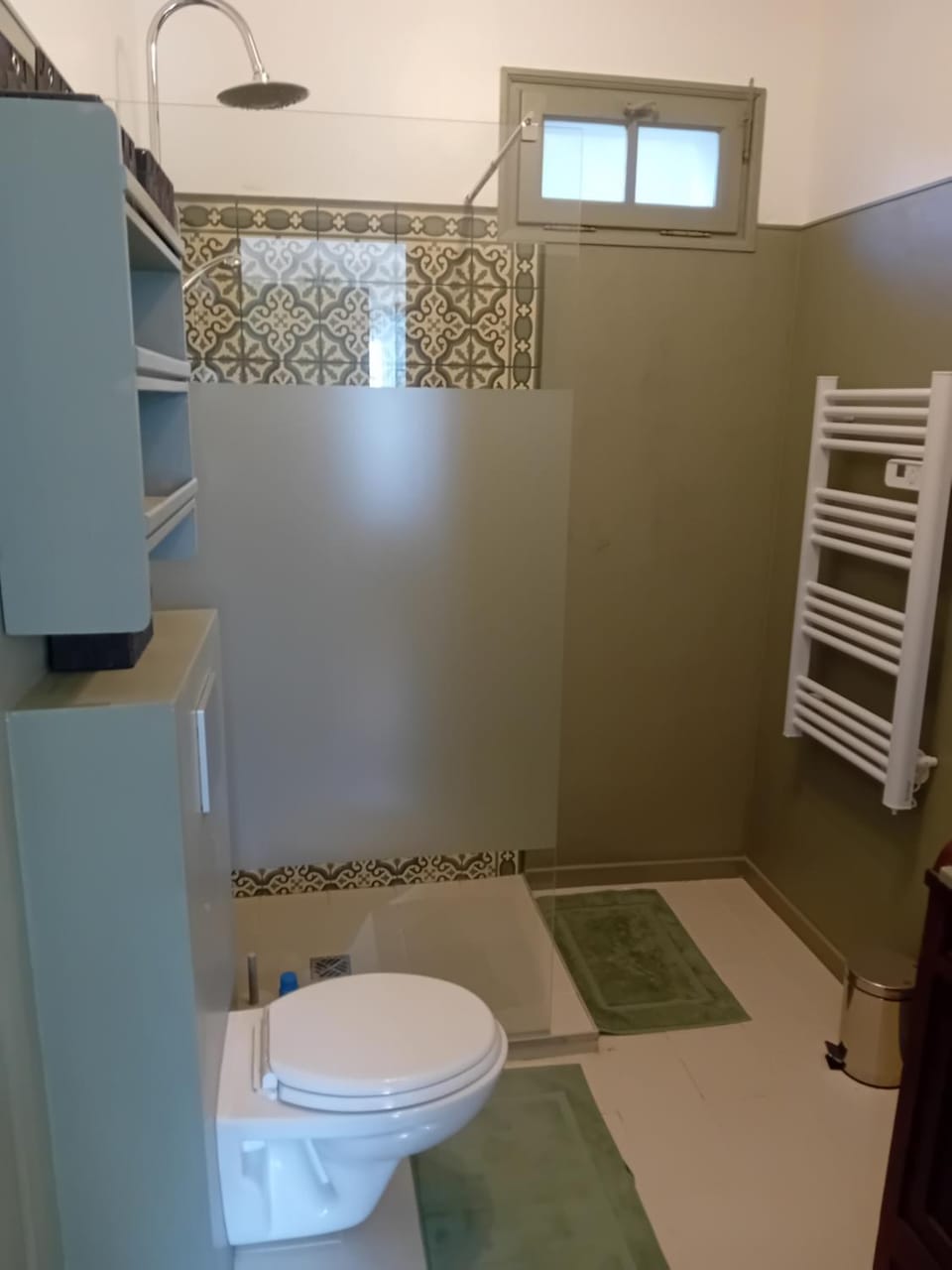 Shower, Toilet