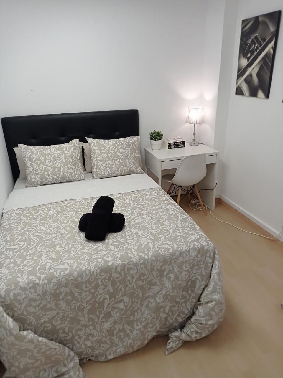 Photo of the whole room