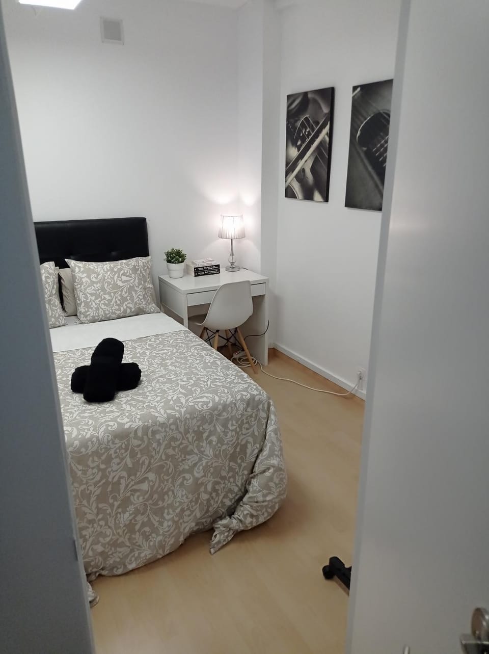 Photo of the whole room