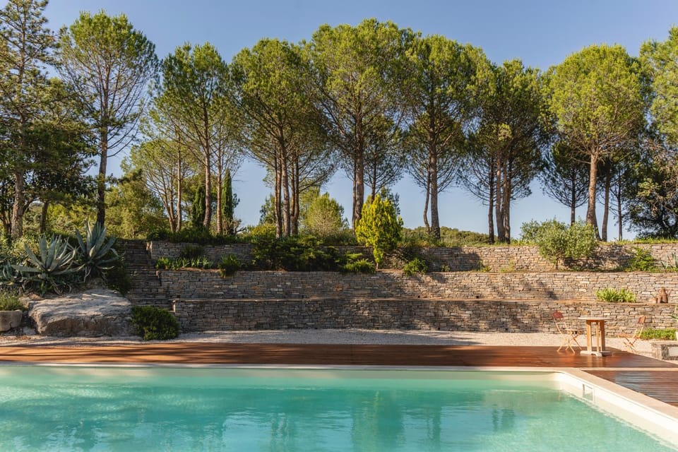 Natural landscape, Garden, Swimming pool, sunbed