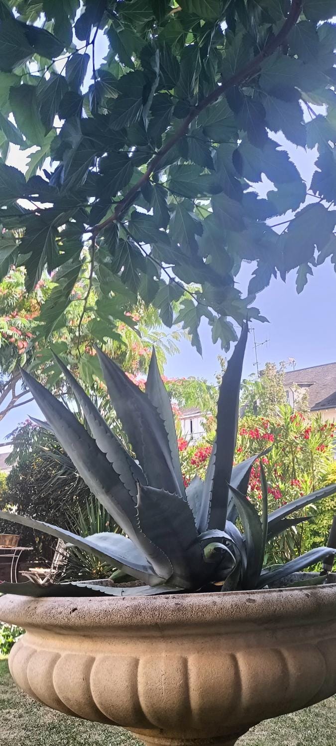 agréables chambres d'hôtes près du centre ville avec jardin Bed and Breakfast in Le Mans