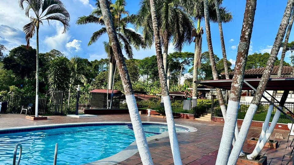 Pool view