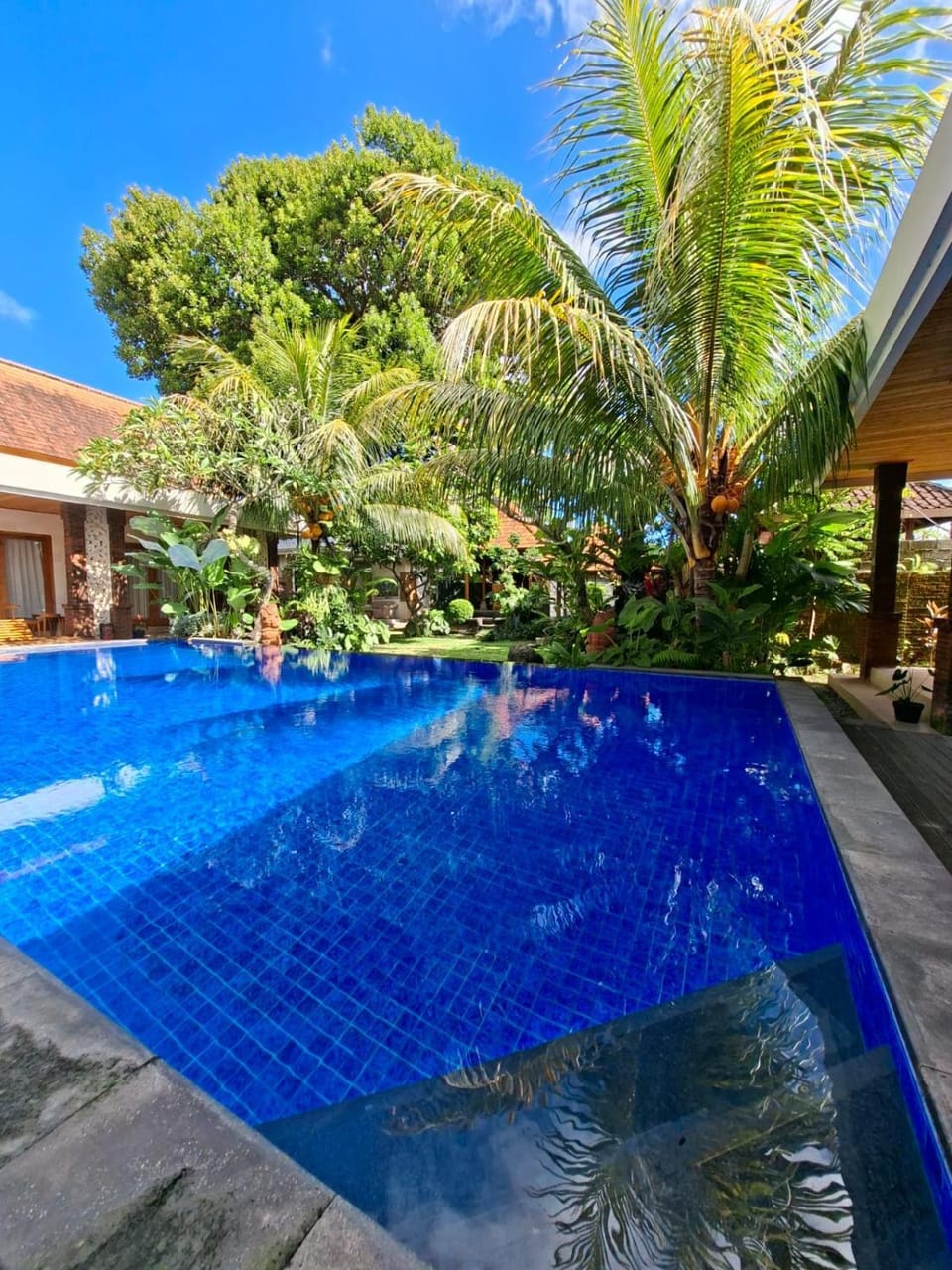 Day, Garden, Pool view, Swimming pool