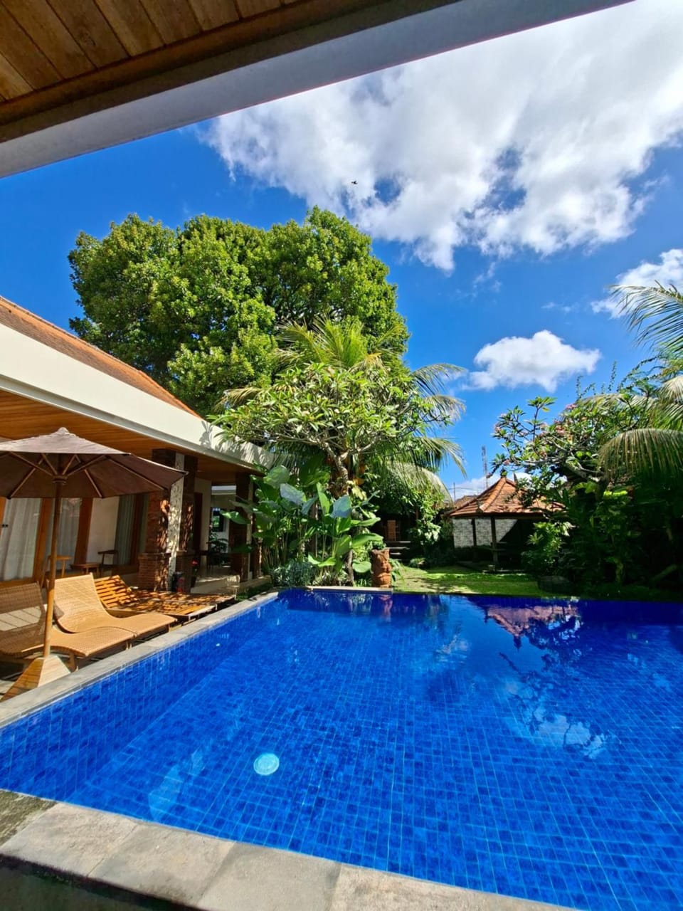 Day, Garden, Garden view, Pool view, Swimming pool, sunbed
