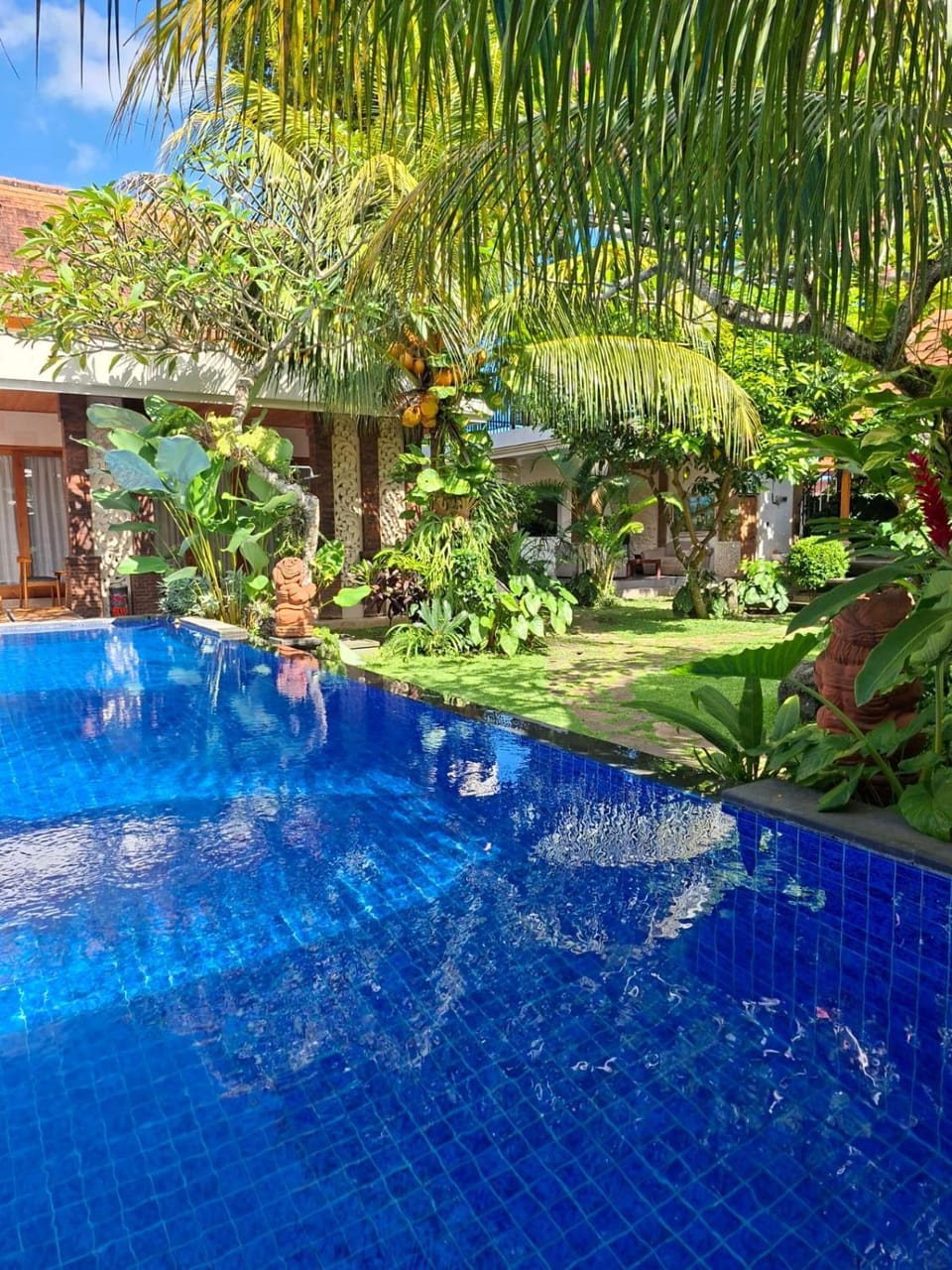 Day, Garden, Pool view, Swimming pool