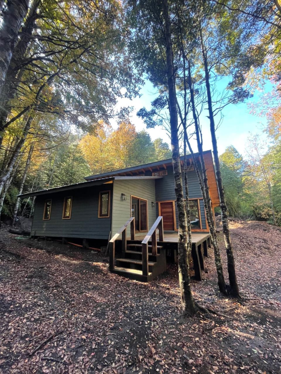 Rincón nevado Chalet in Pucon