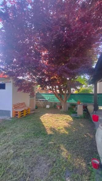 Casa dell'Acero rosso House in Sarzana