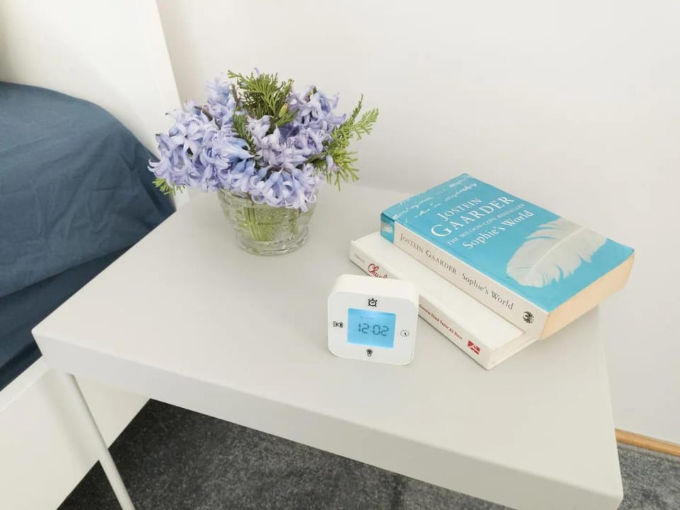 3 Steps from Center Apartment in Belgrade