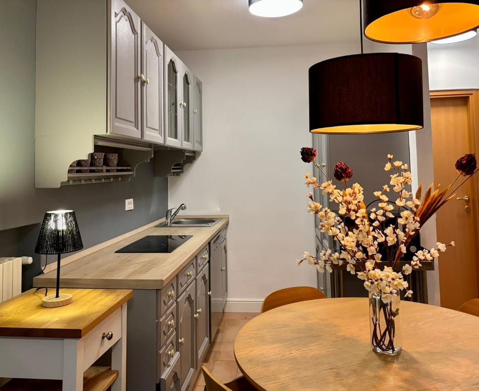 Kitchen or kitchenette, pet friendly