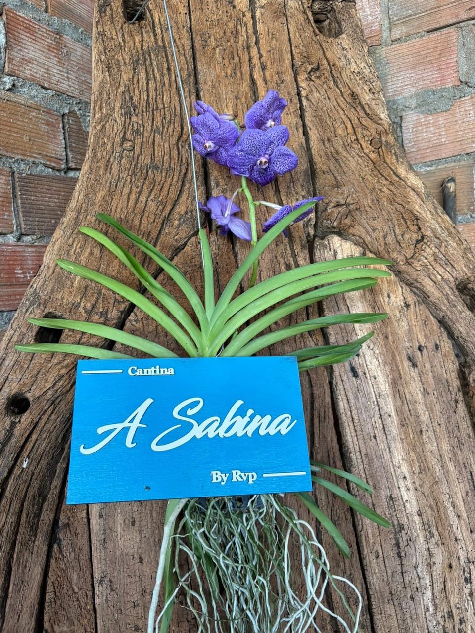 Logo/Certificate/Sign