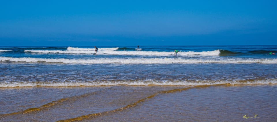 Nearby landmark, People, Natural landscape, Activities, Beach, Windsurfing, group of guests
