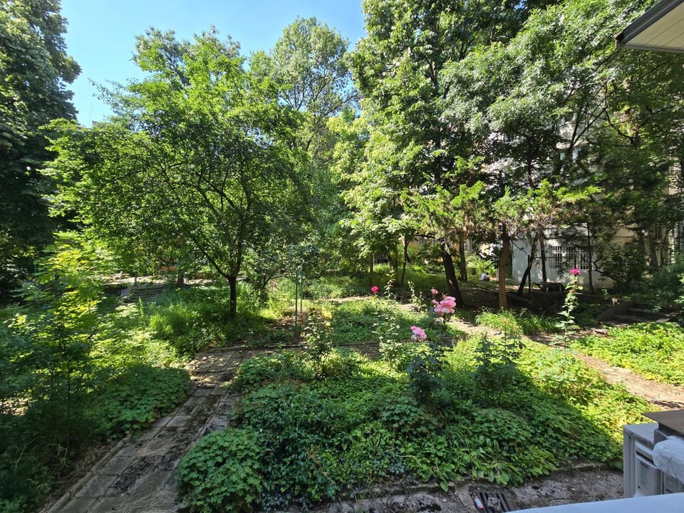 Garden, Garden, Balcony/Terrace