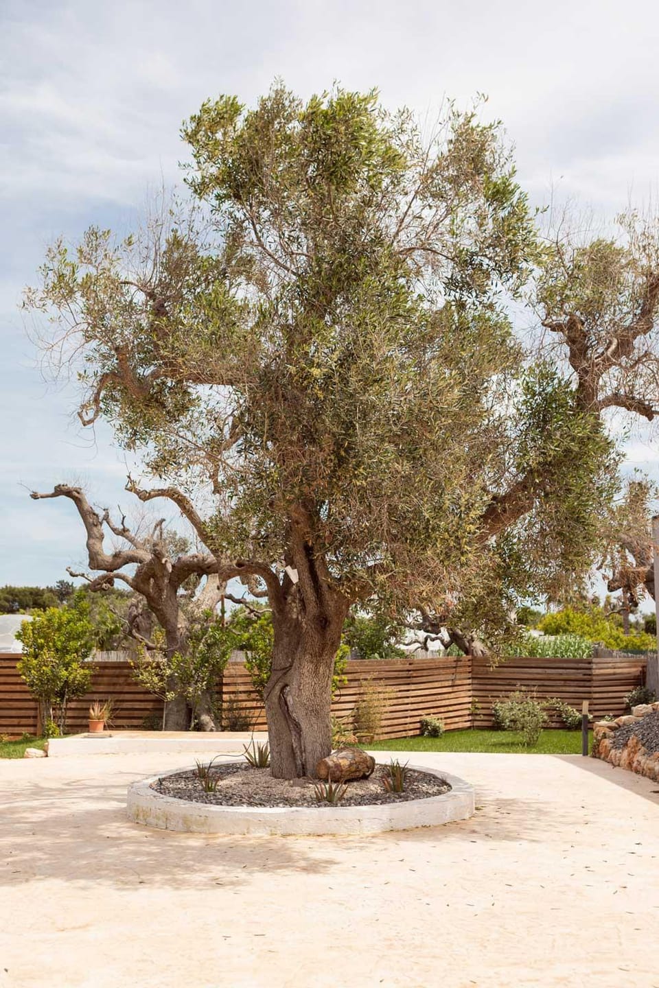 Natural landscape, Garden view