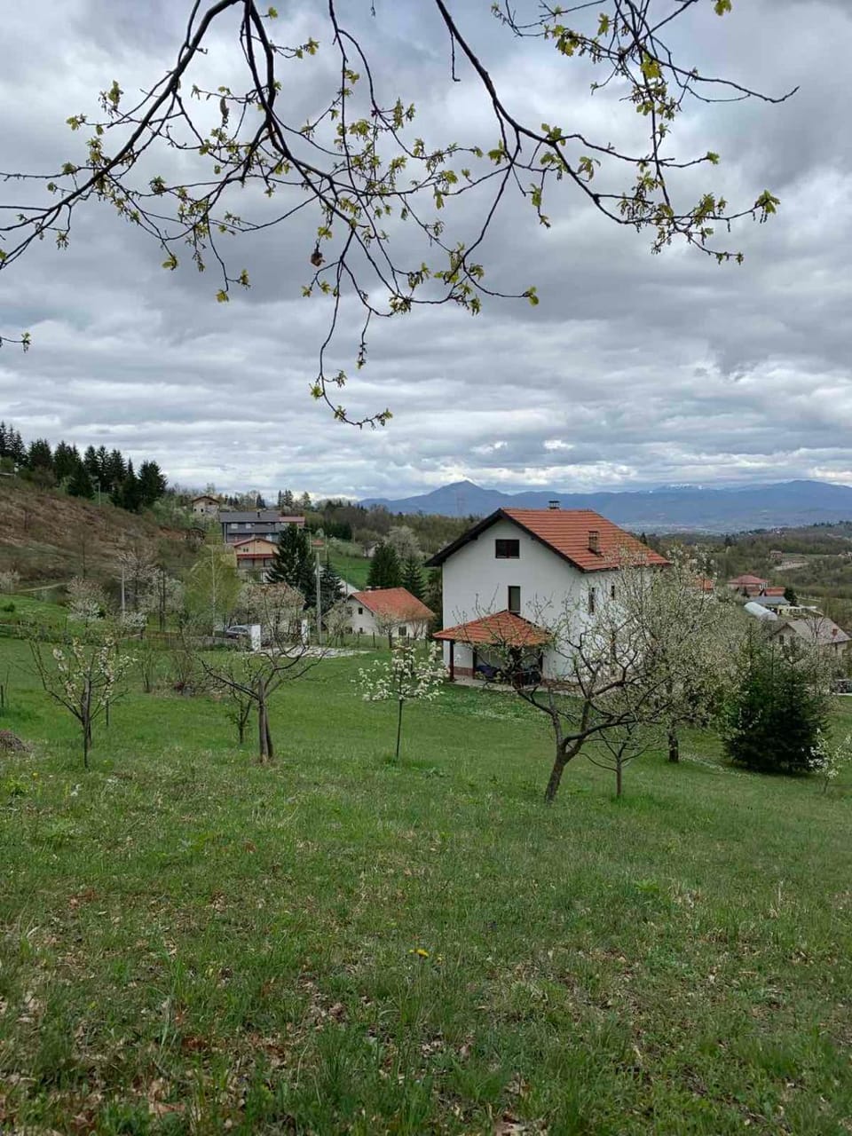 Spring