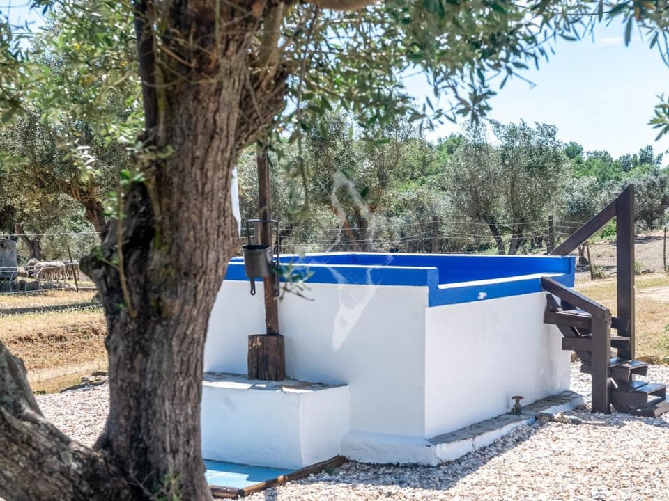 Swimming pool, Open Air Bath, Public Bath