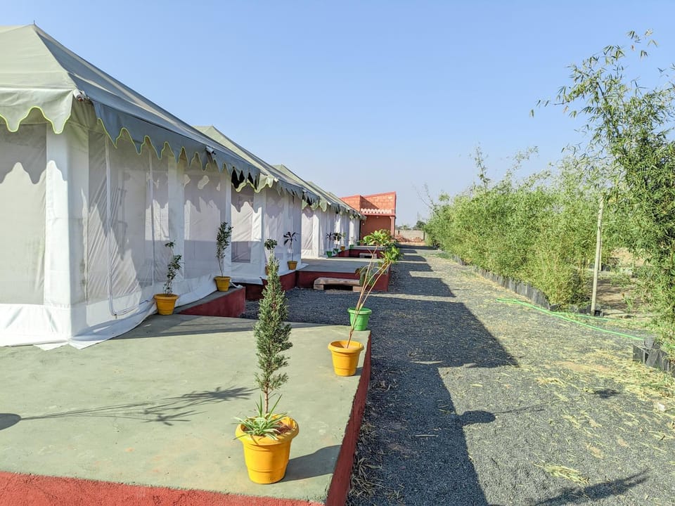 Property building, Day