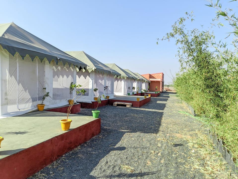 Property building, Day