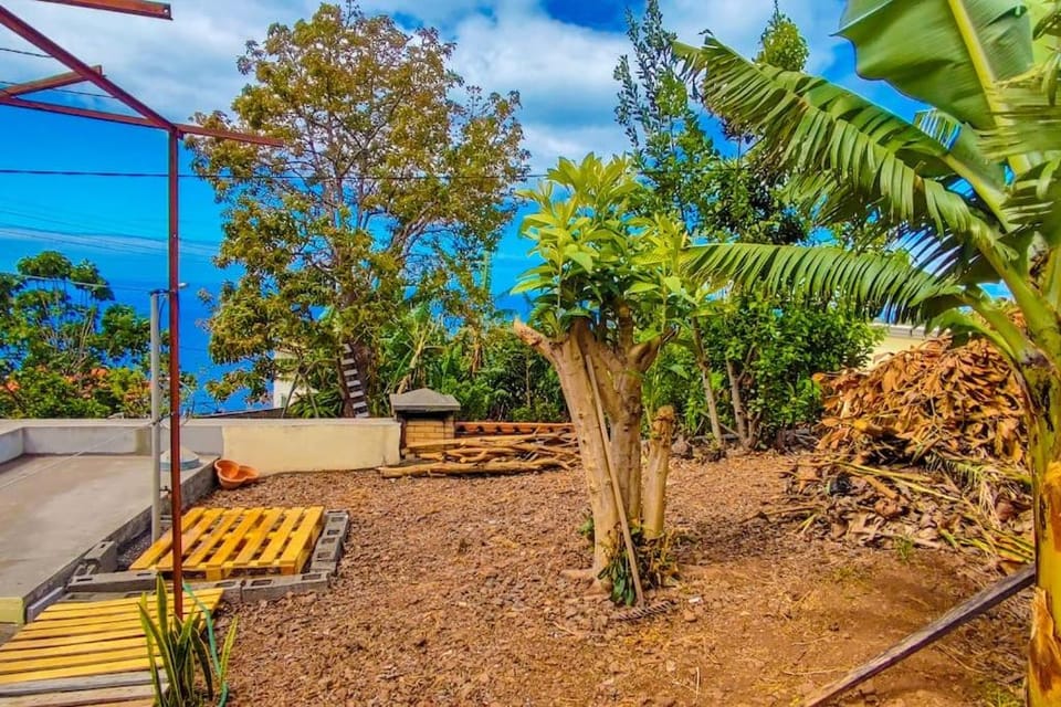 Typical Farm Apartment Apartment in Madeira District