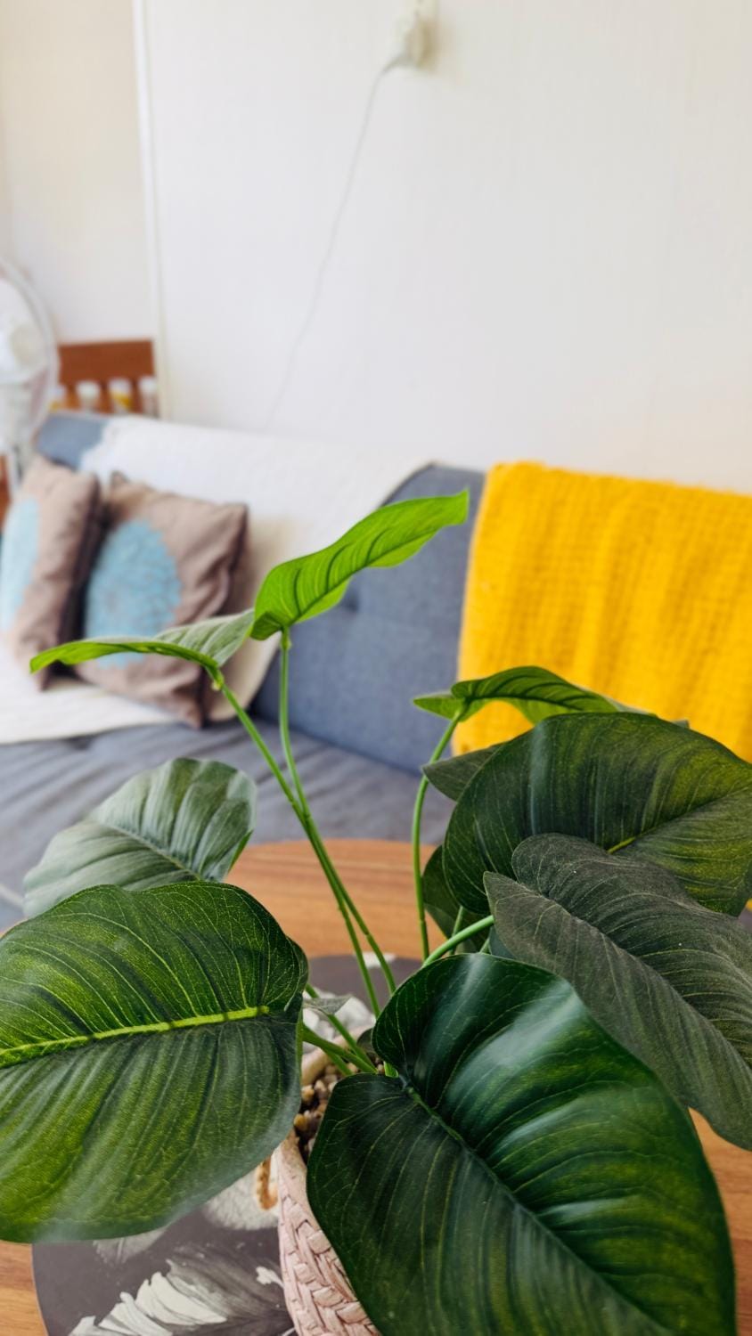 Tranquil Haven Retreat Bed and Breakfast in Hamilton