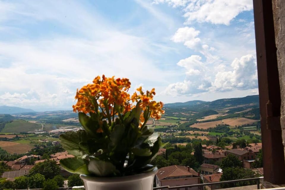 Natural landscape
