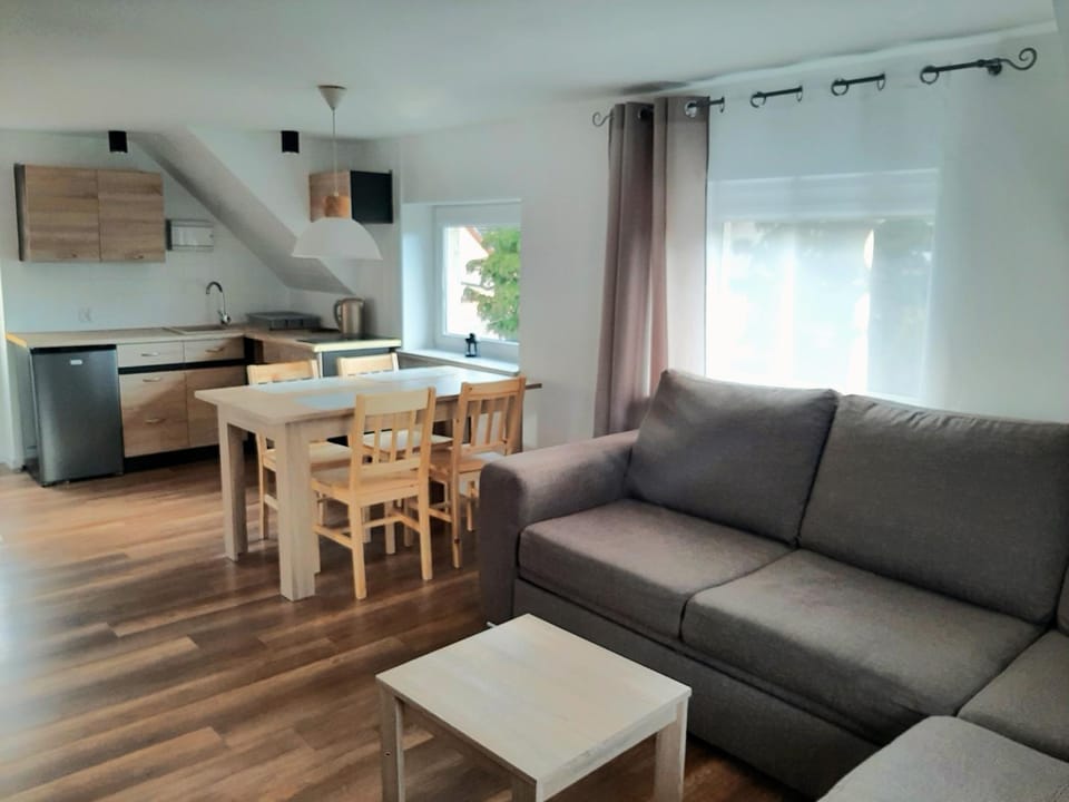 Kitchen or kitchenette, Living room, Seating area, Dining area, pet friendly, stove