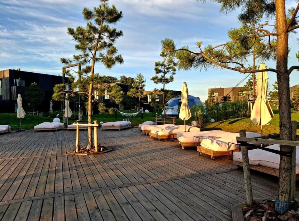 Garden view
