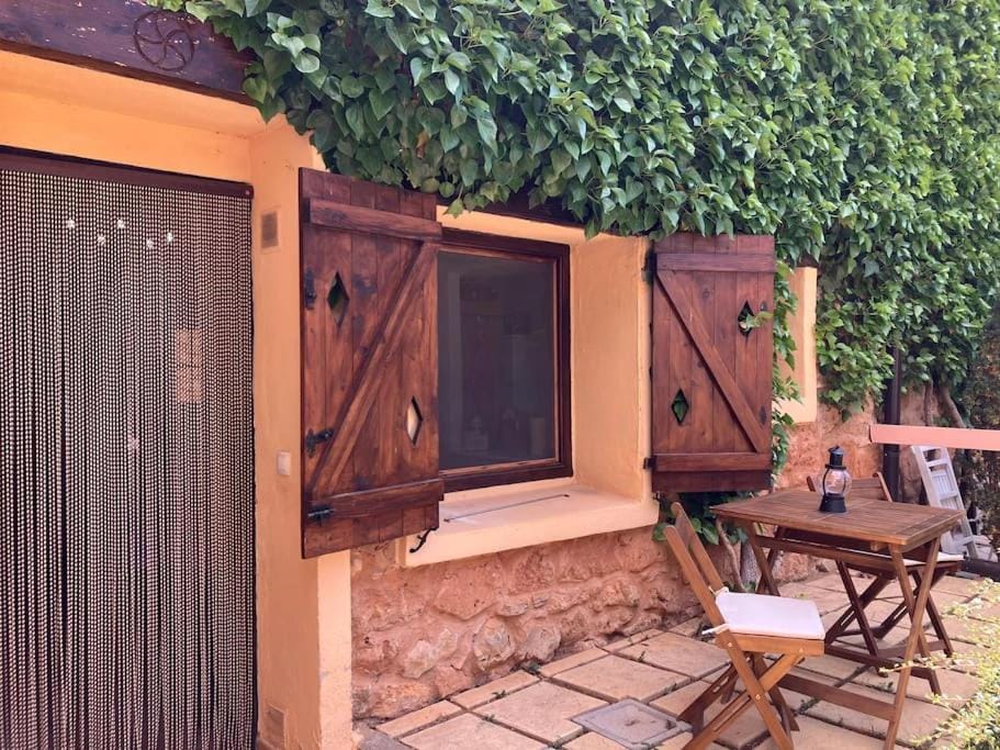 Patio, Garden