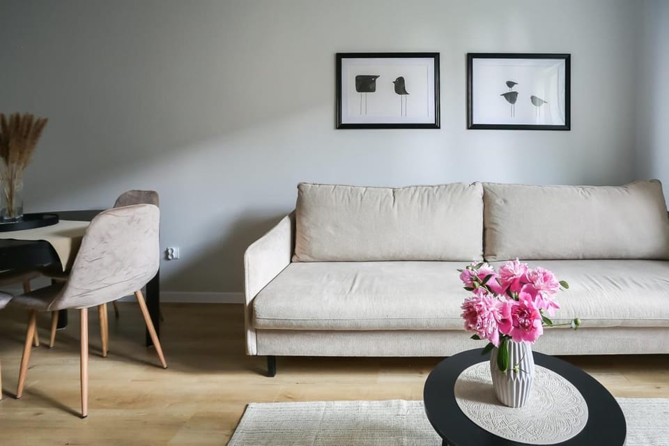 Zamojski nocleg Apartment in Poland