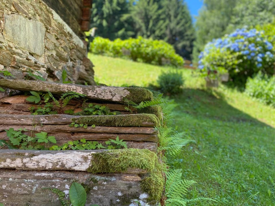 Ferienhaus Lodenwalcher House in Styria