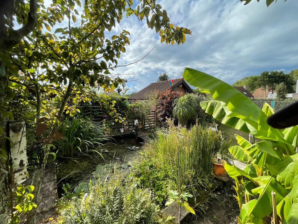 Le petit Nid a Coxyde Chalet in De Panne