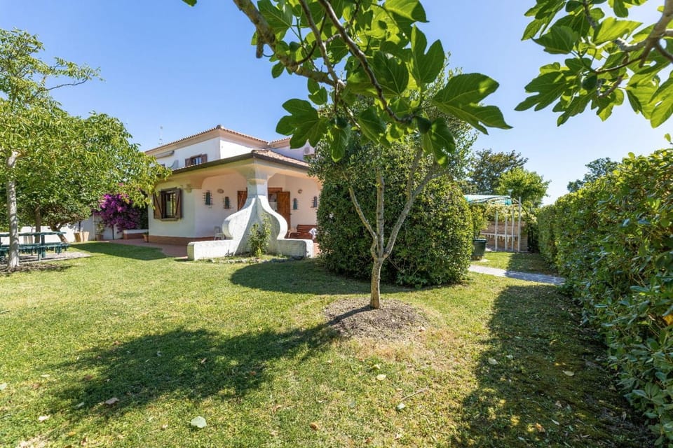 Property building, Spring, Day, Natural landscape, Garden, Garden view