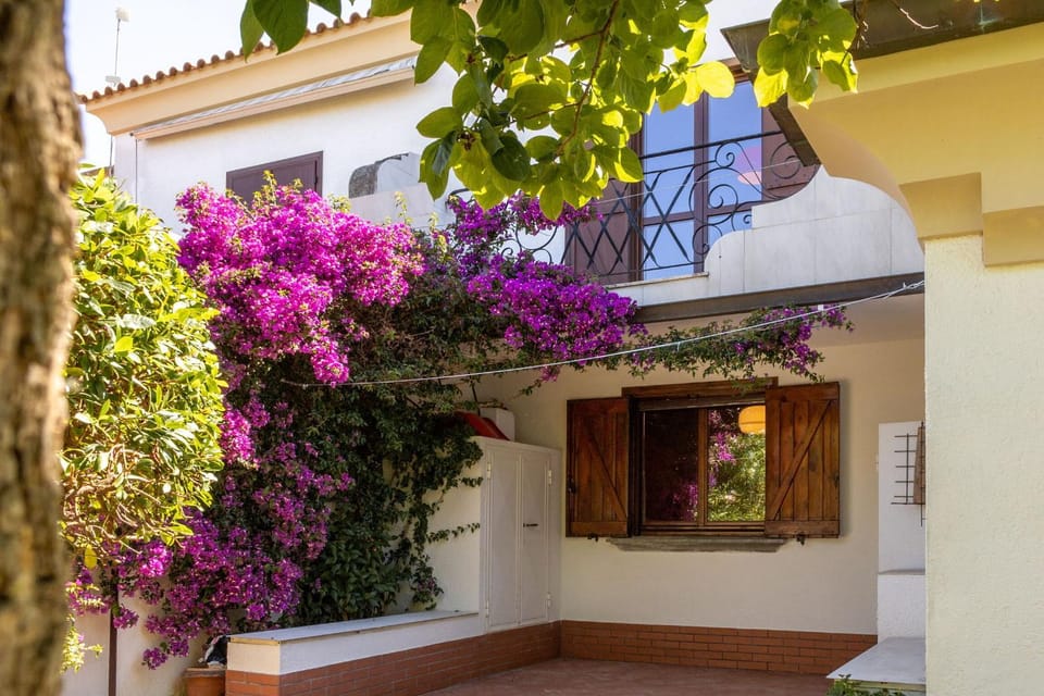 Property building, Spring, Day, Garden, Garden view