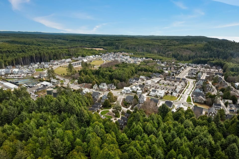 Neighbourhood, Natural landscape, Bird's eye view