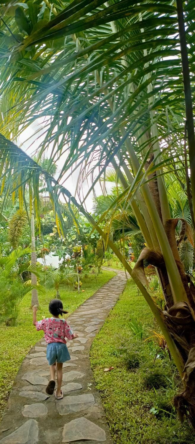 Garden view