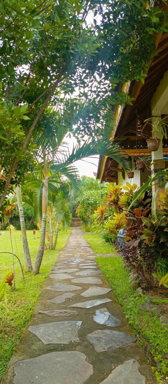 Garden view
