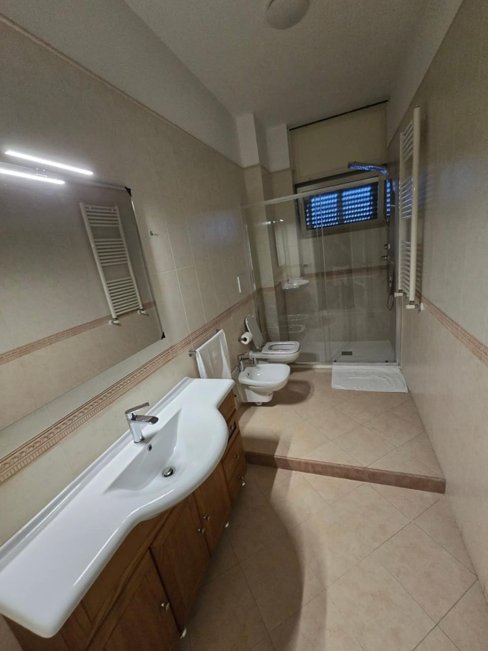 Shower, Toilet, Bathroom, bidet, hair dryier, towels