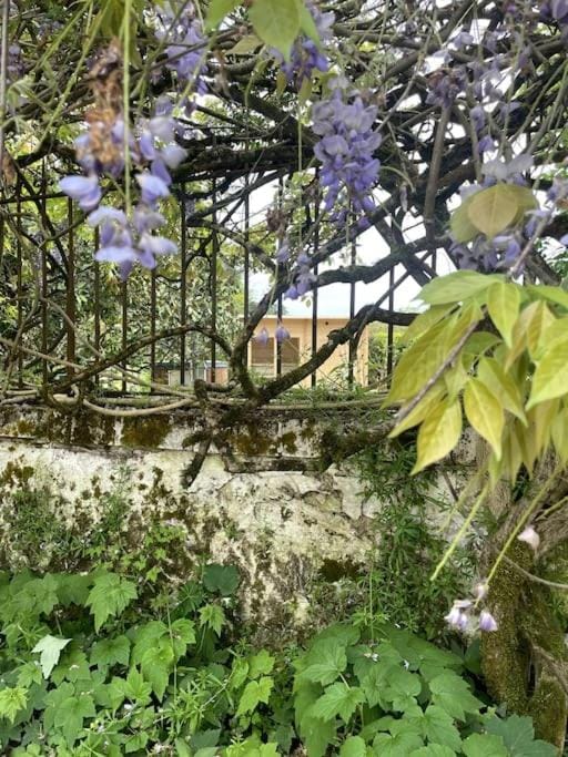 Gîte Lilas idéal pour 4 pers House in Nouvelle-Aquitaine
