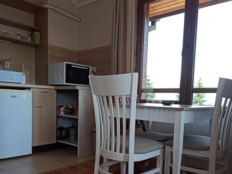 Kitchen or kitchenette, Dining area, oven, stove