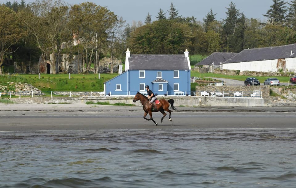 Natural landscape, Horse-riding, Beach, Sea view