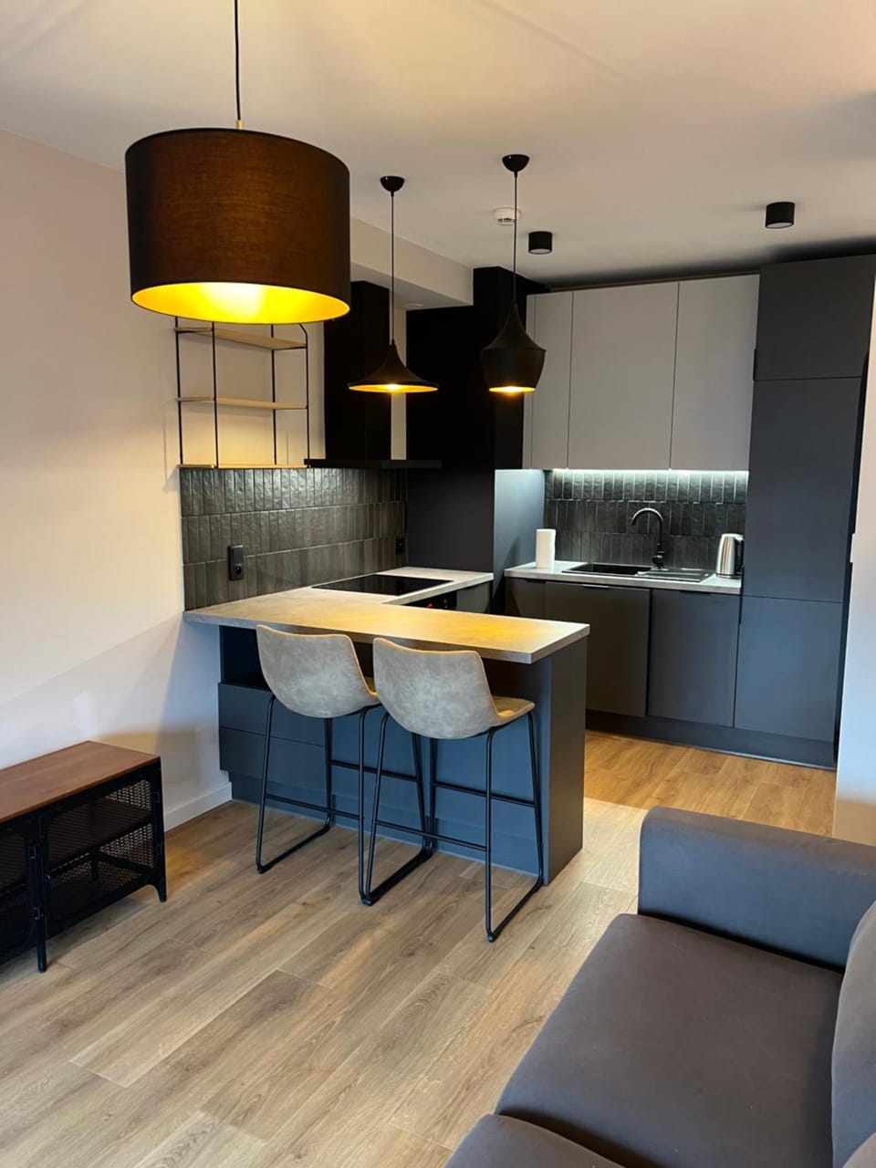 Kitchen or kitchenette, Living room, Seating area, Dining area