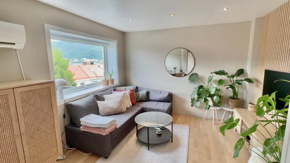 Living room, Seating area, air conditioner