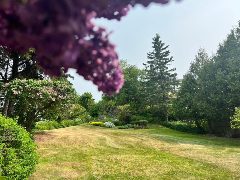 Garden view