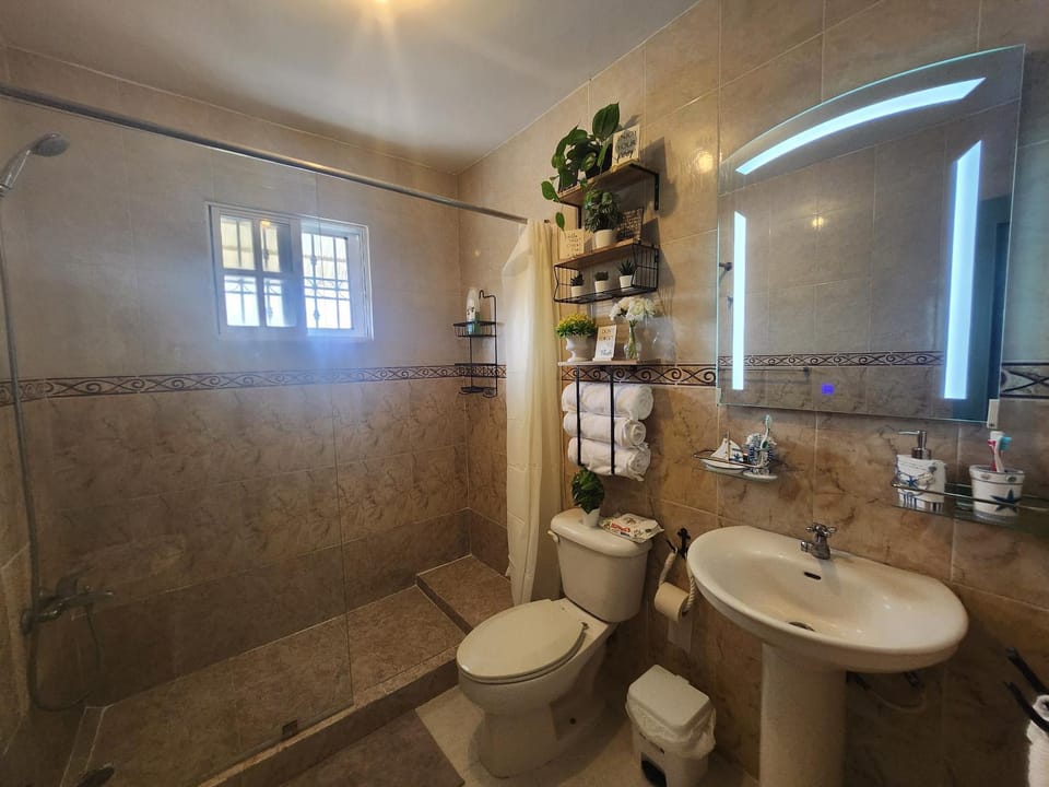 Shower, Toilet, Bathroom, towels