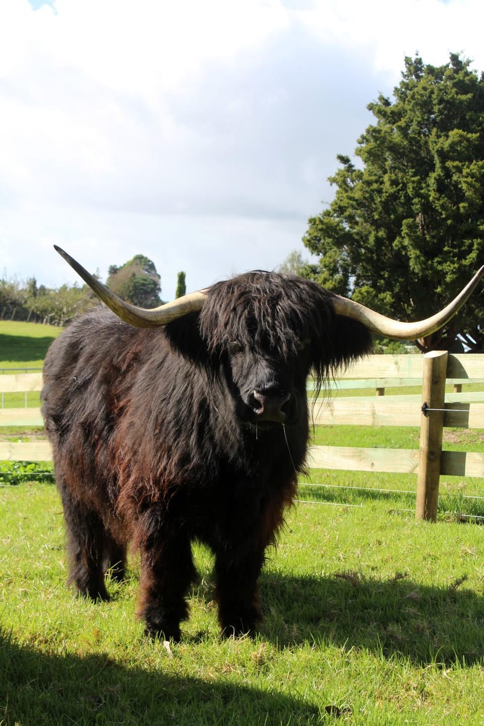 Highlander Farmstay - Cabins Cabin in Whangārei