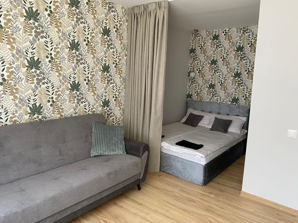 Jaukus butas Klaipėdos mieste Apartment in Klaipėda