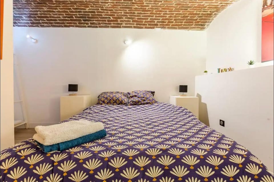 Le Duplex du BIPLAN Apartment in Lille
