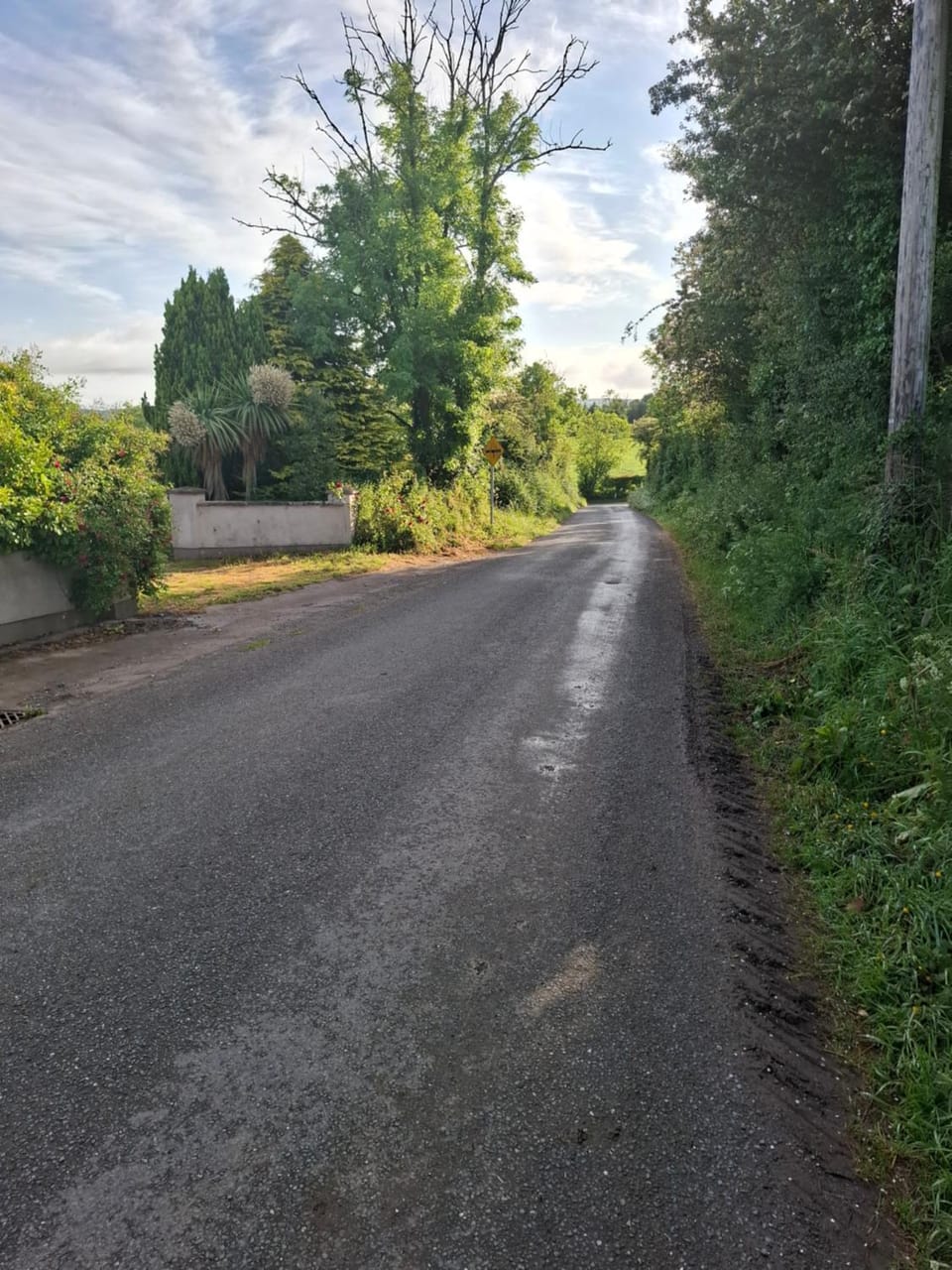 Room in a private house in the middle of countryside first store or bar within 10 min drive cats in the property Vacation rental in County Cork