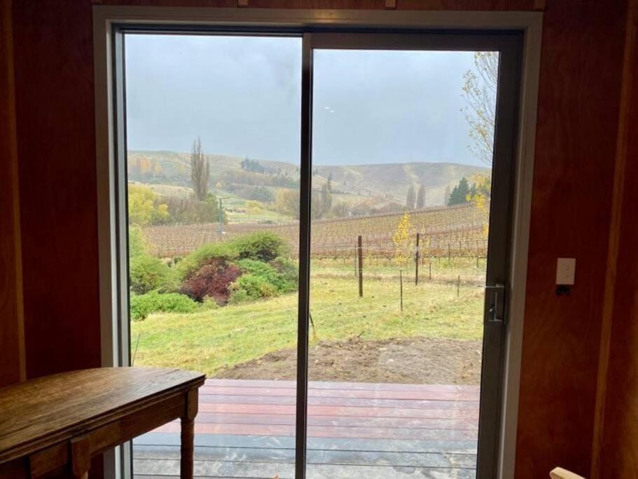 Tiny home on wheels in the vines House in Otago